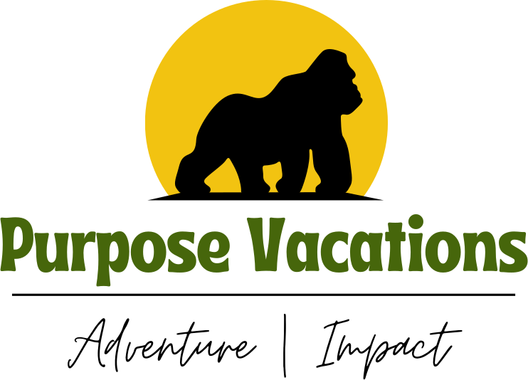 Purpose vacations